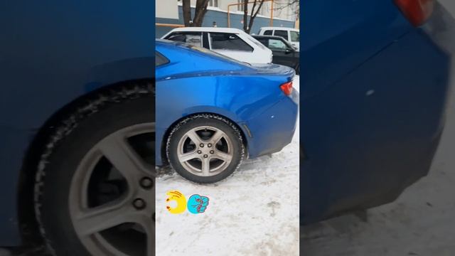 Какая красотка!????? смотреть онлайн