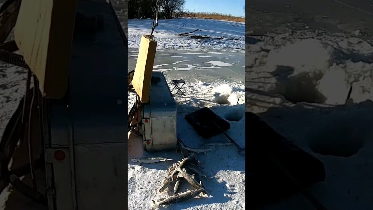 Приехал к Нанайцам на Рыбалку. А зря. Говорят ПЛОХО клюёт смотреть онлайн