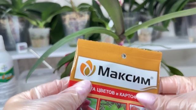 Орхидея желтеет = орхидея гниёт Реанимация орхидеи смотреть онлайн