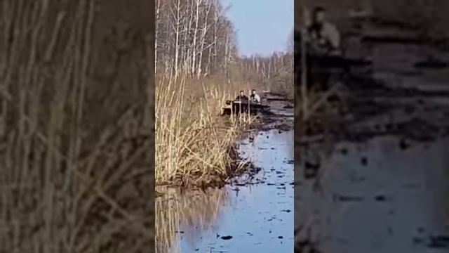 Вездеход испытание.