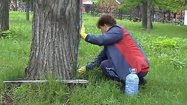 Сдача Дома-музея Чайковского после ремонта (2005 год) смотреть онлайн