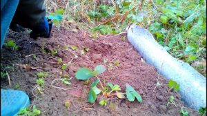 Как я по - осени делала домик для скважины.