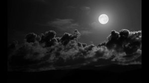 Max Richter Path 5 Delta From Sleep