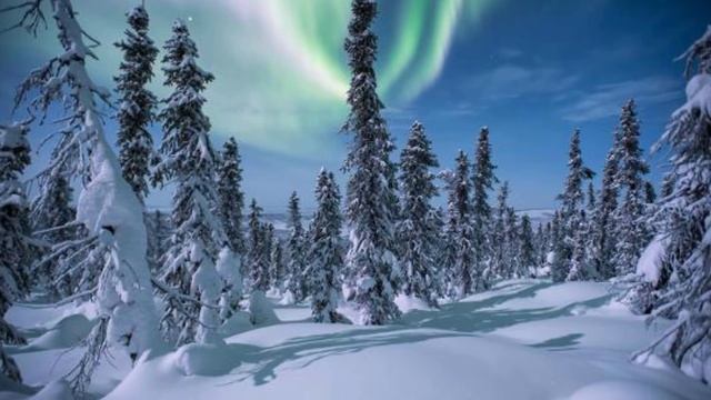 Arctic Dinosaurs смотреть онлайн