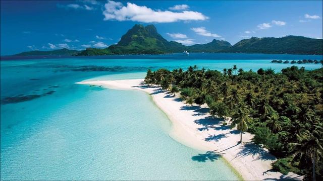 ДанКо И Музыкант