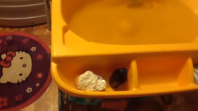 Ванночка для Купания и Пеленальный столик на колёсах "Честный обзор" смотреть онлайн