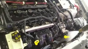 мойка двигателя Ford Focus