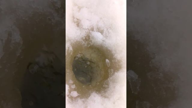 Рыбалка пермь шемети смотреть онлайн