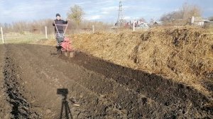мотоблок, делаю ряды сохой, заднем ходом.