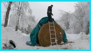 Запускаю "Бройлерный цех", как несутся куры и дела печные! Жизнь в деревне