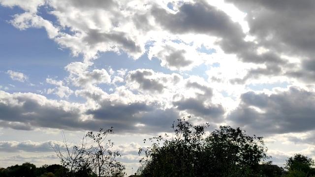 Покров Пресвятой Богородицы 2023, что нужно делать смотреть онлайн