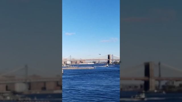 БЕСПЛАТНЫЙ ПАРОМ МИМО СТАТУИ СВОБОДЫ смотреть онлайн