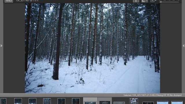 NEF to jpg Convert nikon RAW to JPG file - NIKON VIEW NX 2 смотреть онлайн