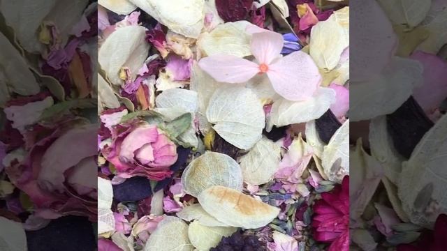 Limited Edition Real Petal Wedding Confetti Mix - Antique Rose смотреть онлайн