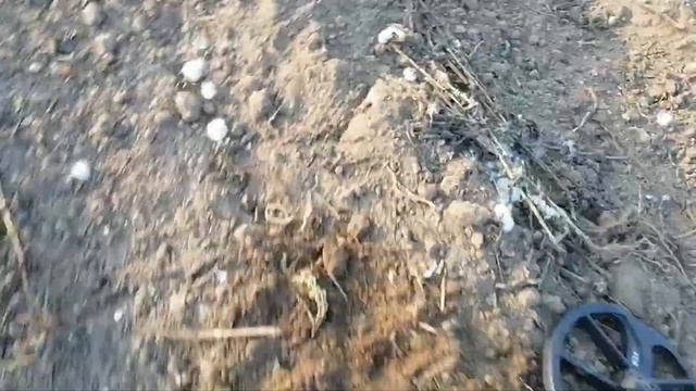 ух чашуйка впервые.эквинокс 800