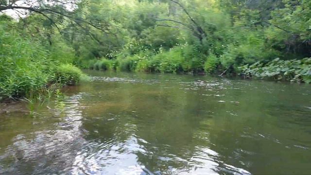 Золотой Китат перекат и лягушатник смотреть онлайн