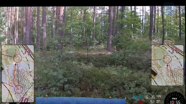 LATVIA O-WEEK (World Orienteering Championships 2018) Forest Sprint - Brīvdabas Muzejs (Rīga)