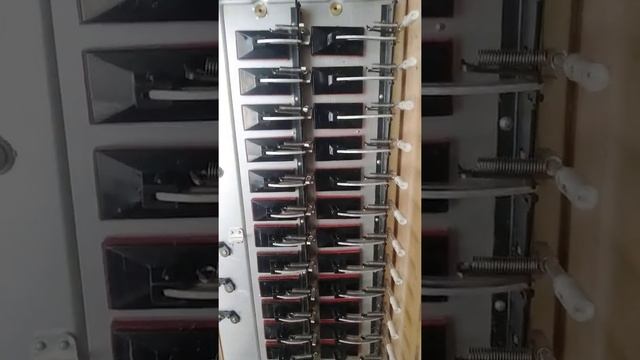 Weltmeister Amigo травит воздух с левого корпуса смотреть онлайн