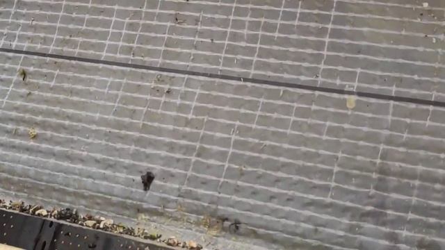 Разбор старой кровли. Основные ошибки. смотреть онлайн