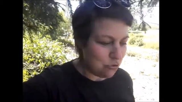 Сколько стоит расчистка участка по факту Строим и экономим полцены Большая стройка Виты Власс 6 смотреть онлайн