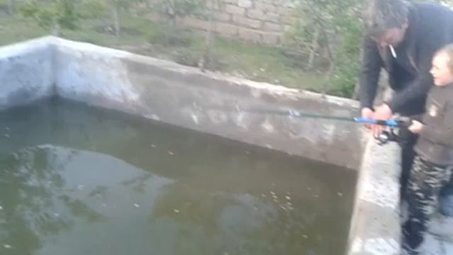 Ловим карасей в бассейне. смотреть онлайн