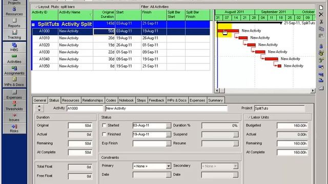 Primavera P6 - Tutorial 3: Activity Splitting - One Way смотреть онлайн