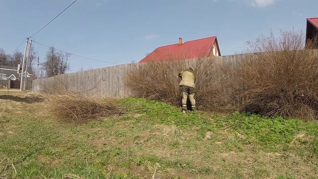 Деревня Соснино (живая изгородь, посадка вишни и смородины) (часть 1 из 7) смотреть онлайн