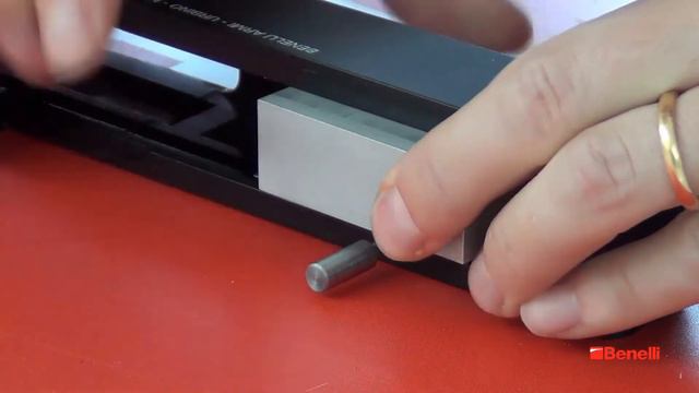 Benelli Raffaello / Ethos Internal Modification