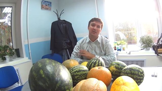 Дело не в арбузах выпуск 8 смотреть онлайн