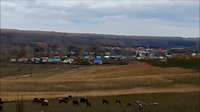Вот это находки радующие глаз. Приборный поиск в Башкирии.Металлоискатель Whites TreasureMaster. смотреть онлайн