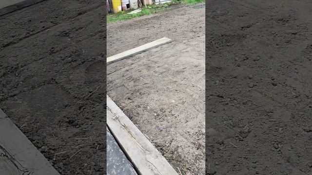 Мой первый газон из белого клевера ошибки