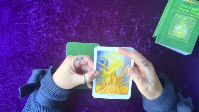 WHAT THE DECK? Tree Angel Oracle Deck. ? смотреть онлайн