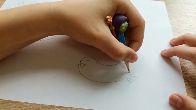как нарисовать морского котика или тюленя?? смотреть онлайн