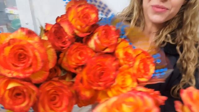 JFTV comparing High & Magic, High & Flame, and High & Yellow rose varieties смотреть онлайн
