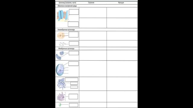 1. Строение клеток животных + систематика (7 класс) - биология, подготовка к ЕГЭ и ОГЭ 2020 смотреть онлайн