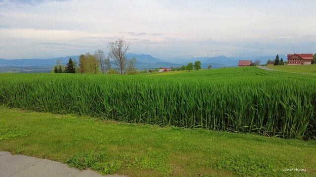 Römerswil Switzerland, beautiful village in central Switzerland, spring walk Switzerland 4K смотреть онлайн