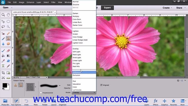 Photoshop Elements 12 Tutorial The Pattern Stamp Tools Adobe Training Lesson 13.15 смотреть онлайн