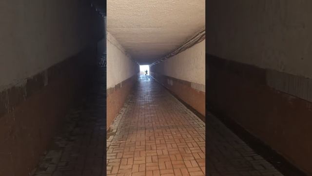 Лестница в ад, коридор в рай, Авсаллар смотреть онлайн
