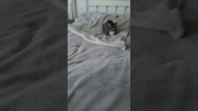 облет 10.05.20 ЖК Пехра от Гранель в Балашихе https://vk.com/gkpehra смотреть онлайн