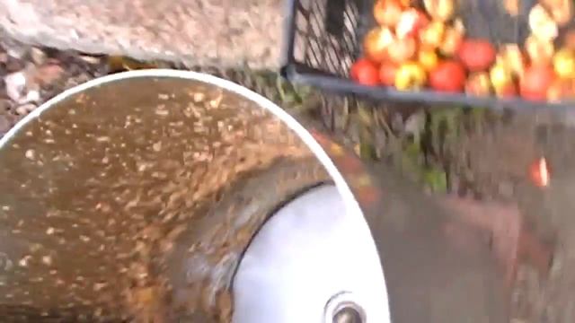 Яблочный сок. Самый лучший измелчитель яблок (корморезка) для яблочного пресса смотреть онлайн