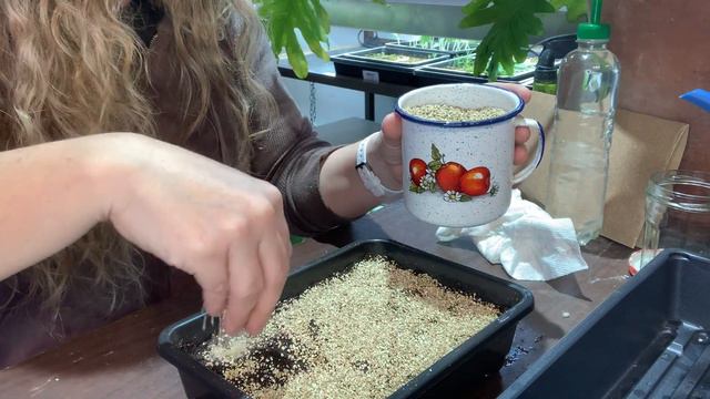 Seed Sowing & Seed Sowing Tips смотреть онлайн