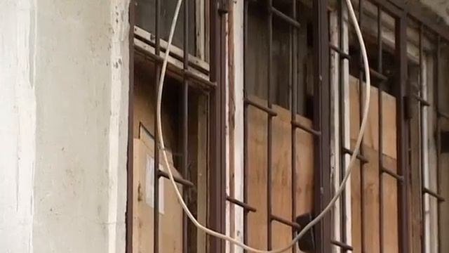 Условно осуждённые смотреть онлайн