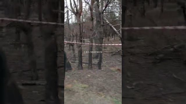 Донбасс. Последствия работы российской артиллерии по группе ВСУ. смотреть онлайн