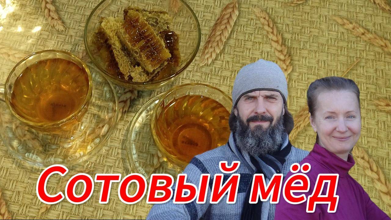 Сотовый мёд - польза и из чего состоит