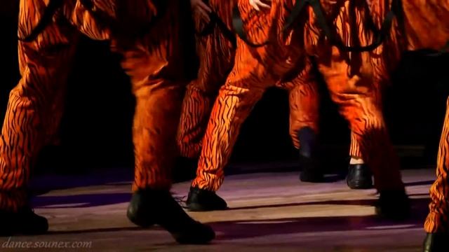 Горячие "Tigers" Ukraine Strip Dance Show Fest "Кошачьи страсти" Чернигов танцы смотреть онлайн