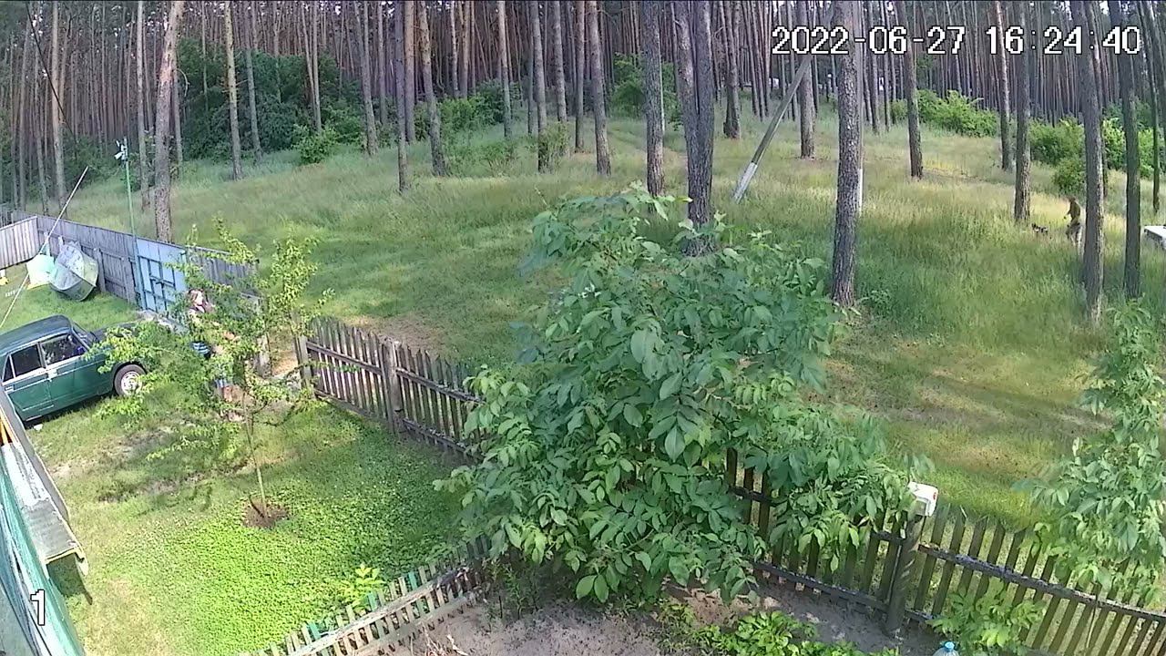 Муся атакует