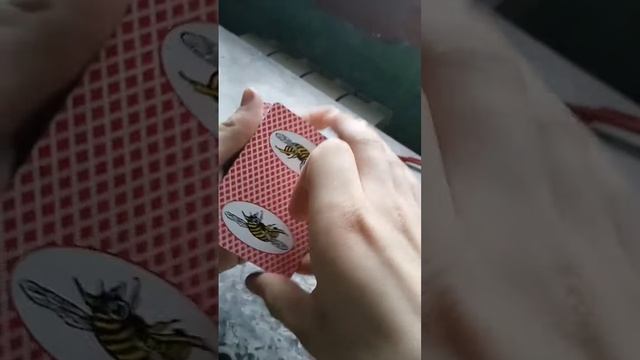 Новая колода карт Bee jumbo index с пчелой красная. смотреть онлайн