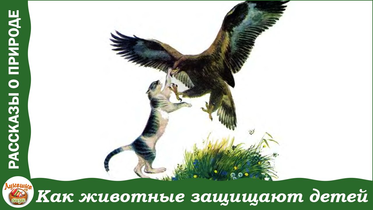 Как животные защищают детей. Рассказы К. Ушинского смотреть онлайн