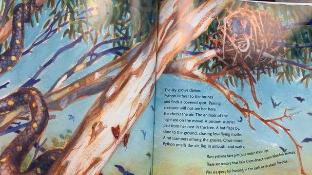 Python by Christopher Cheng — Read Aloud смотреть онлайн