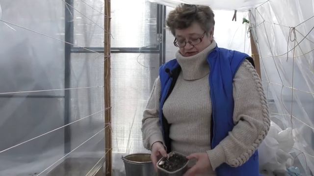 Сад и огород с Маргаритой Васильевной – сезон 3, выпуск 1 смотреть онлайн